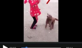 我视频,一窥【视频标题】的精彩瞬间