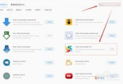 网页视频下载插件,揭秘热门插件功能与使用技巧