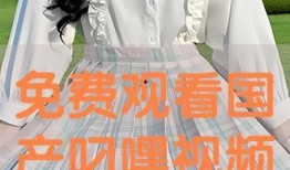 免费叼嘿视频,揭秘热门短视频平台的魅力与挑战